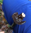 <b>Date:</b> 22/12/2020<br><b>Location:</b> Chouwen, Jabal Moussa Biosphere Reserve<br><b>Photo:</b> Romy Azar