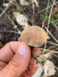 <b>Date:</b> 12/10/2020<br><b>Location:</b> Shouf Biosphere reserve<br><b>Photo:</b> Rana el Zein