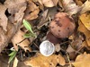 <b>Date:</b> 12/12/20<br><b>Location:</b> Broqta<br><b>Photo:</b> Romy Azar