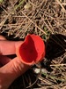 <b>Date:</b> March 2020<br><b>Location:</b> Qobayat, Akkar<br><b>Photo:</b> Rana El Zein