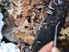 <b>Date:</b> 12/12/20<br><b>Location:</b> Broqta, Jabal Moussa Biosphere Reserve (JMBR) <br><b>Photo:</b> Romy Azar